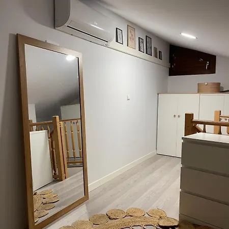 Апартаменты Duplex Basilica Del Pilar Temporada *